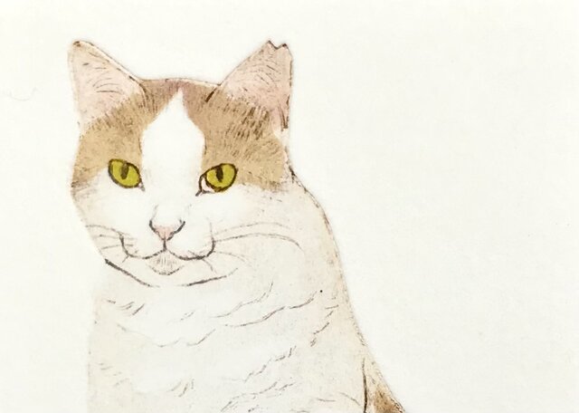 タビー　TABBY  紙にステンシル　スプレー　美品　箱付　現代アート Amazon.co.jp: カインドストア ステンシルシート ステンシルアート