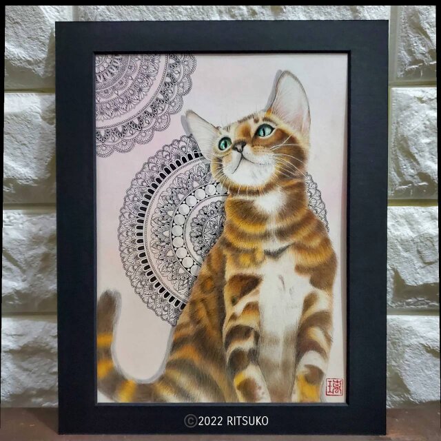 猫の色鉛筆画 原画 - 絵画