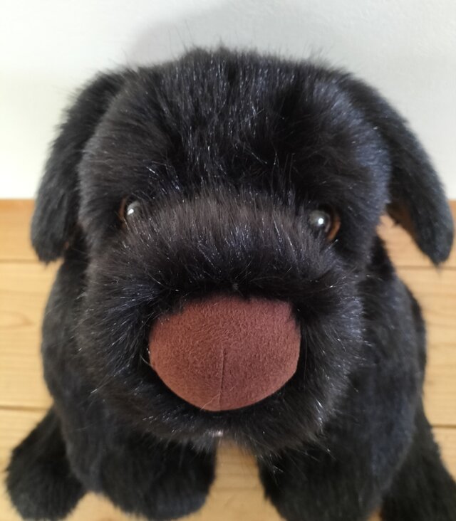 値引き！大特価！大型犬ぬいぐるみ 黒 【公式通販】