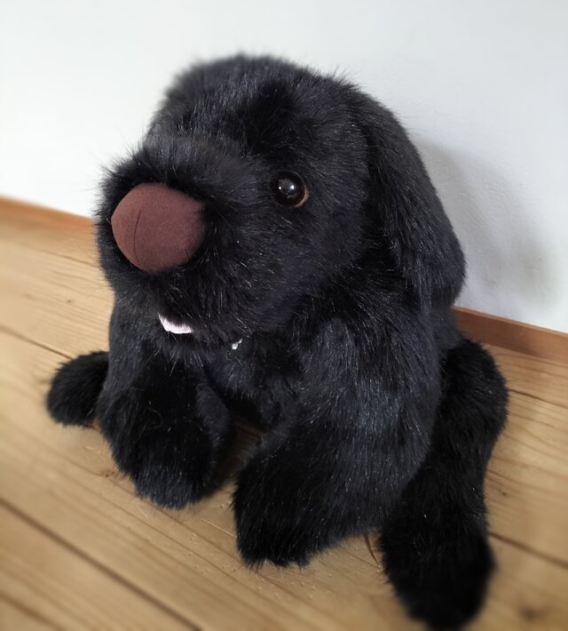 感動する抱き心地。重さ約4100g、命の重みを感じる犬のぬいぐるみ