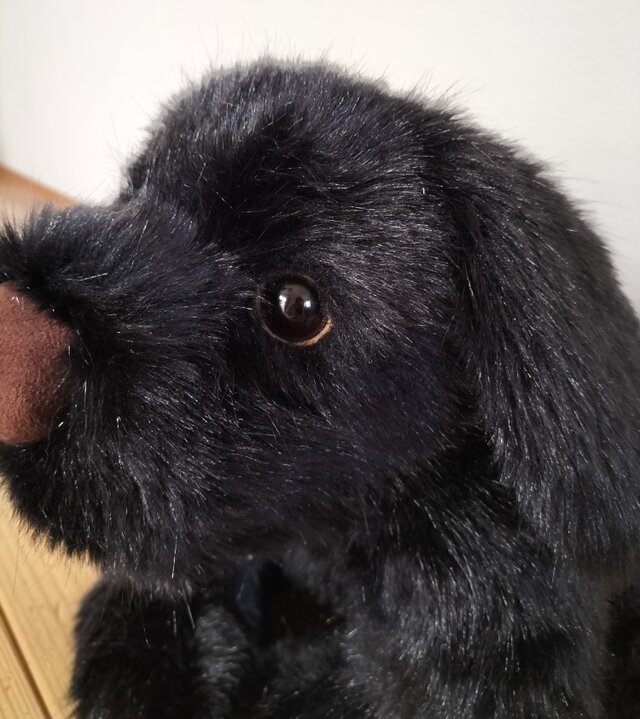 感動する抱き心地。重さ約4100g、命の重みを感じる犬のぬいぐるみ