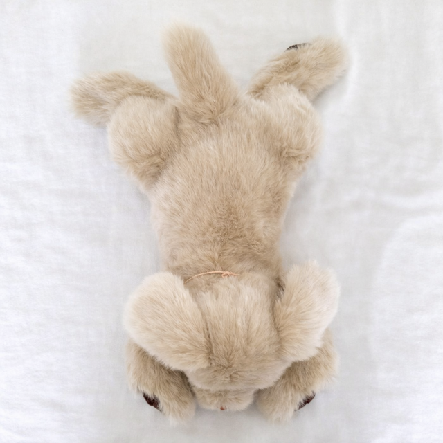 ぬいぐるみパトラン 生きてるみたいなぬいぐるみ パトランミニ