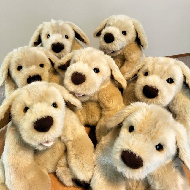 作家さま パトラン 犬 ぬいぐるみ ミニ 感動する抱き心地。ゴム入り重心設計、重さ約3400g、命の重みを感じる