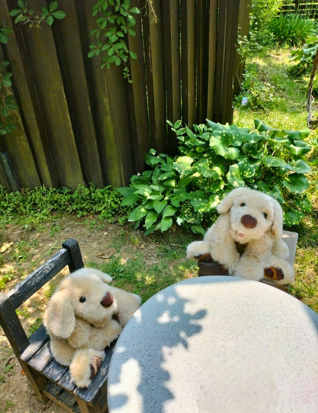 感動する抱き心地。重さ約3400g、命の重みを感じるぬいぐるみ