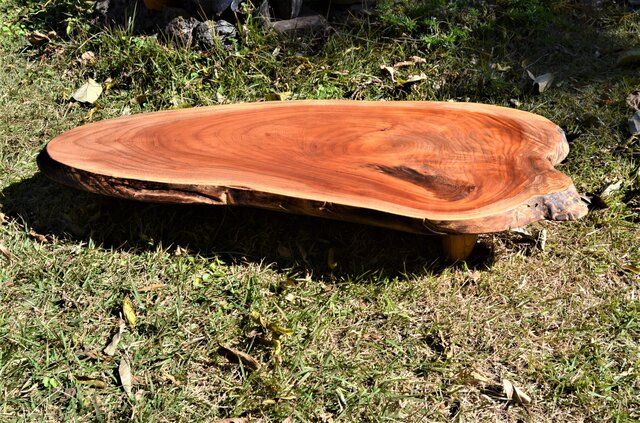 欅花台（酒卓） その2 | iichi 日々の暮らしを心地よくする