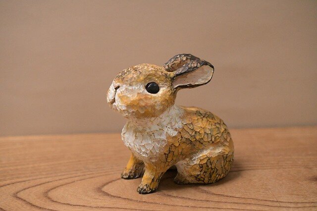 うさぎ（ネザーランドドワーフ）(売れました） | iichi 日々の暮らしを
