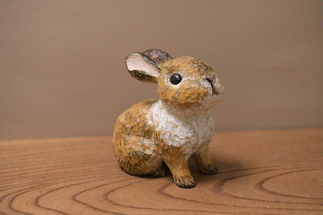 うさぎ（ネザーランドドワーフ）(売れました） | iichi 日々の暮らしを