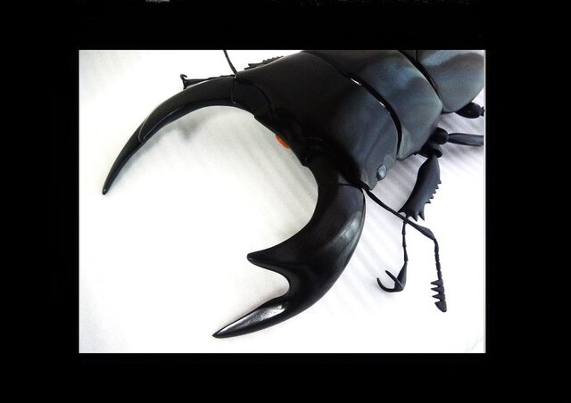 アンタエウスオオクワガタ MEGA・BIG リアルフィギュア | iichi 日々の