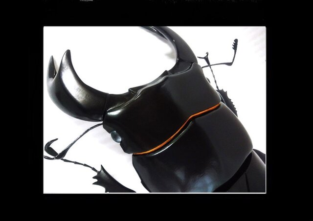 アンタエウスオオクワガタ MEGA・BIG リアルフィギュア | iichi 日々の