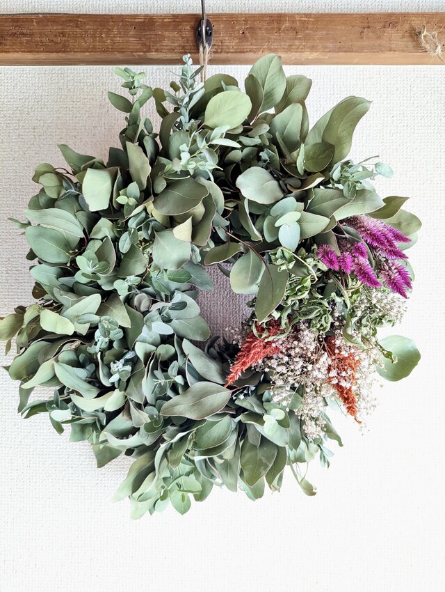 ドライフラワー★可愛い大きめリース ★ユーカリ、紫陽花、ケイトウ ドライフラワー☆可愛い大きめリース ☆ユーカリ、紫陽花、ケイトウ