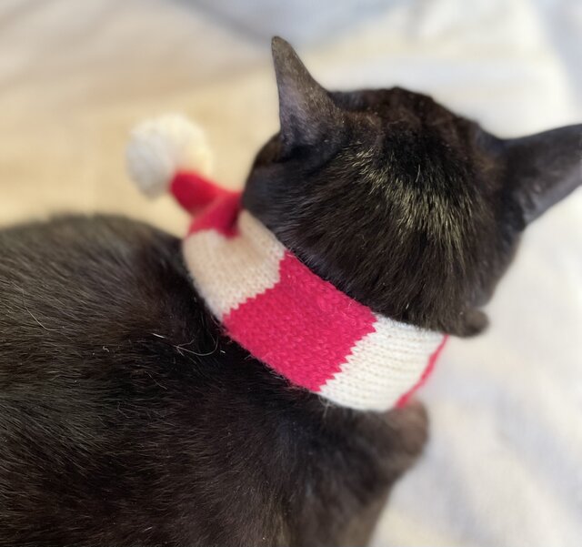 猫マフラー レッド×ホワイト | iichi 日々の暮らしを心地よくする