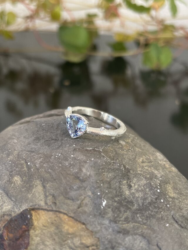 ゾイサイトとトゲ枝