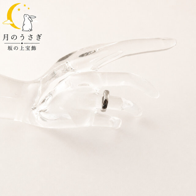 月のうさぎ ペアリング 2本セット 幅3.4mm チタン | iichi 日々の 月のうさぎ ペアリング 2本セット 幅3.4mm チタン | iichi 日々の
