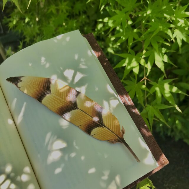 再販　本革 山鳥の羽根 ブックマーク