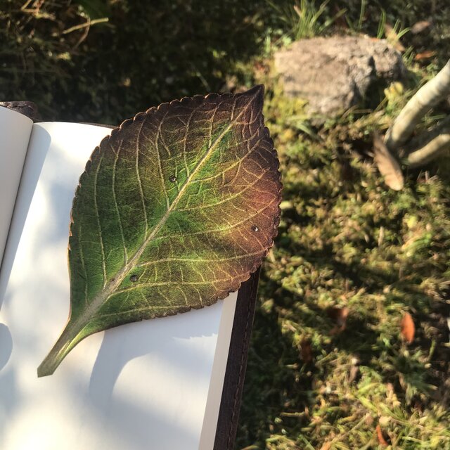 再販　本革 あじさいの葉 ブックマーク