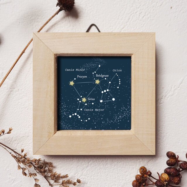 ミニ額＊冬の星座