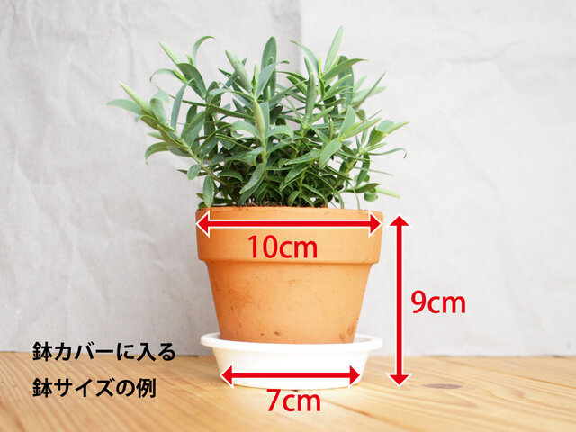 木製 鉢カバー（3号鉢用）栃材1 植木鉢カバー | iichi 日々の