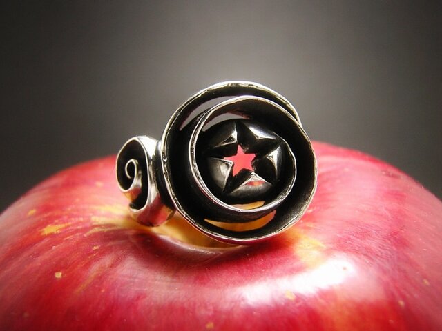 リンゴ工房 it-638b4ad4311ca-1200.jpg