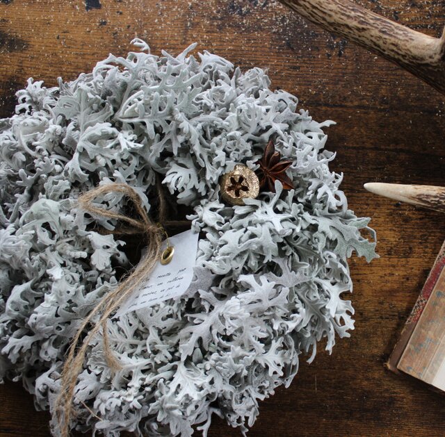 白い花と実物のクリスマスとお正月に飾る　水引き付き　リース　ドライフラワー 白い花と実物のクリスマスとお正月に飾る 水引き付き リース