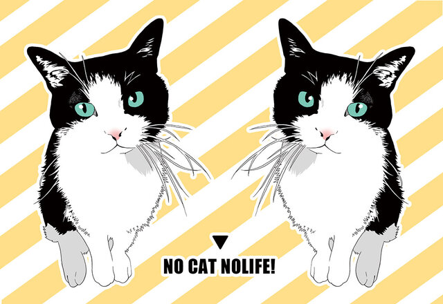 ねこパンツくん　　ポストカード mofusand展 ポストカード(にゃんぱんつ) | mofusandもふもふ