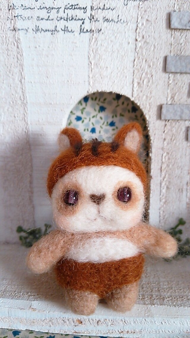 なりすましパンダ squirrelの画像1枚目