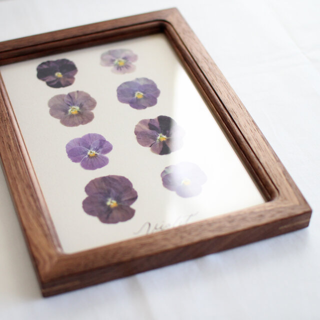 Pressed flower フレーム〜押し花アート〜A5 ビオラ walnut | iichi