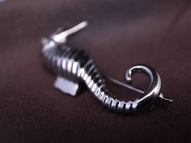 黒 タツノオトシゴのブローチ | iichi 日々の暮らしを心地よくする