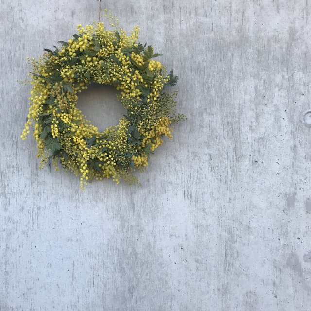 【2024年最終予約♪】フレッシュミモザのリース  20㎝