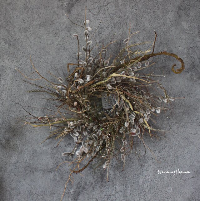 wreath [willow] やなぎのリース ドライフラワー 猫柳 雪柳 | iichi