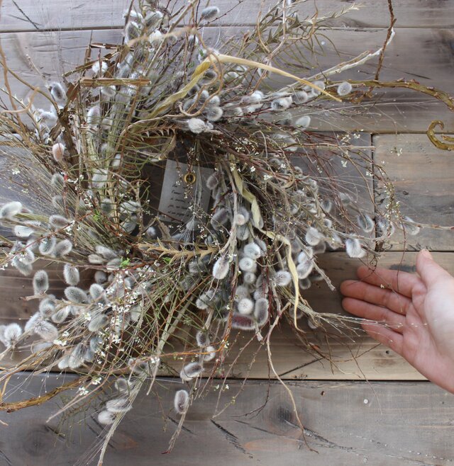wreath [willow] やなぎのリース ドライフラワー 猫柳 雪柳 | iichi