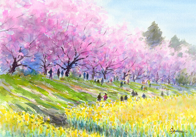 水彩画原画 桜堤と菜の花 ＃590 | iichi 日々の暮らしを心地よくする 