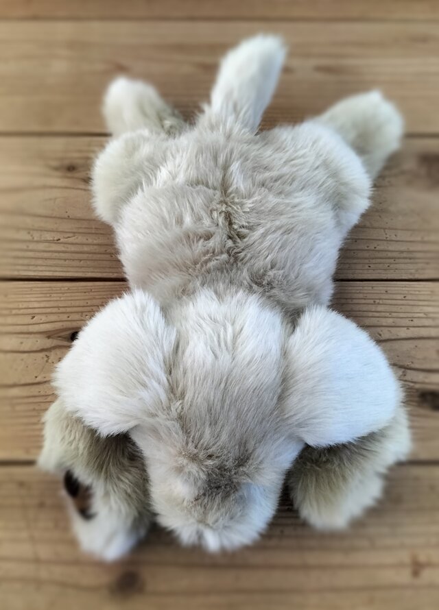 作家さま パトラン 犬 ぬいぐるみ ミニ 作家さま パトラン 犬 ぬいぐるみ ミニ 科学工房未來