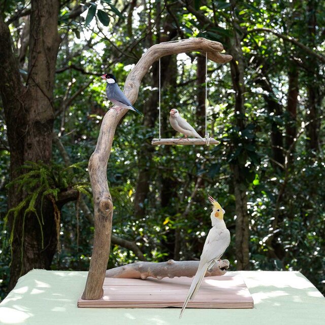 バードアスレチック ジム ㉓ 流木 天然木 自然木 手作り 止まり木 インコ鳥用品