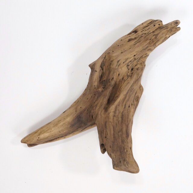 【温泉流木】人という形の変形流木オブジェ 流木素材 インテリア 素材 レイアウト 木材