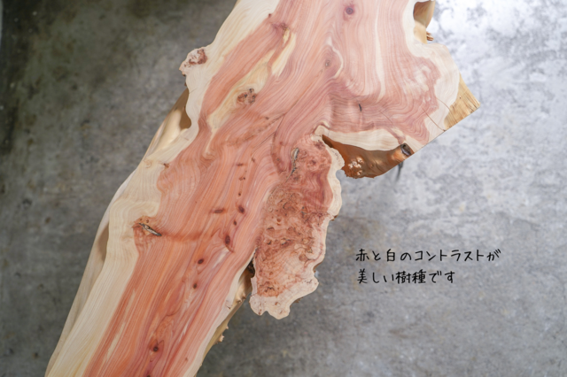 伊吹の一枚板 ローテーブル （高さ・カラー変更無料） | iichi 日々の