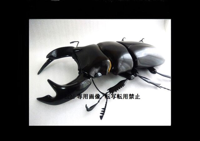 オウゴンオニクワガタ　MEGA　リアル クワガタフィギュア Amazon | オオクワガタ MEGA リアル クワガタフィギュア