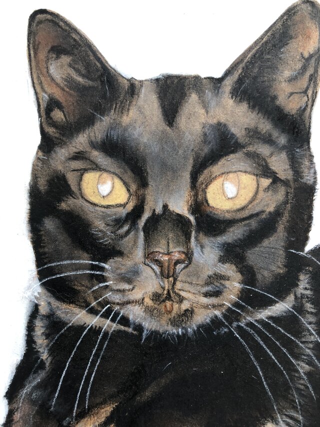 「ムサシ」猫イラスト（原画） 猫イラスト「ムサシ」原画 | iichi 日々の暮らしを心地よくする