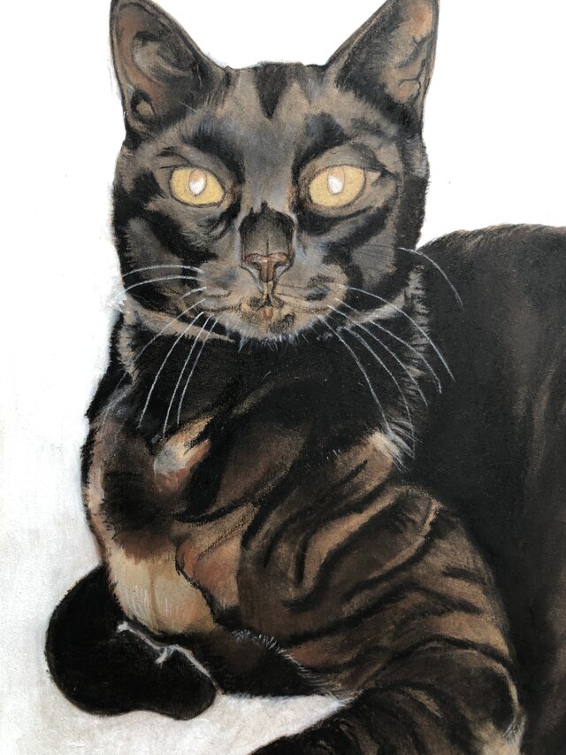 「ムサシ」猫イラスト（原画） 猫イラスト「ムサシ」原画 | iichi 日々の暮らしを心地よくする