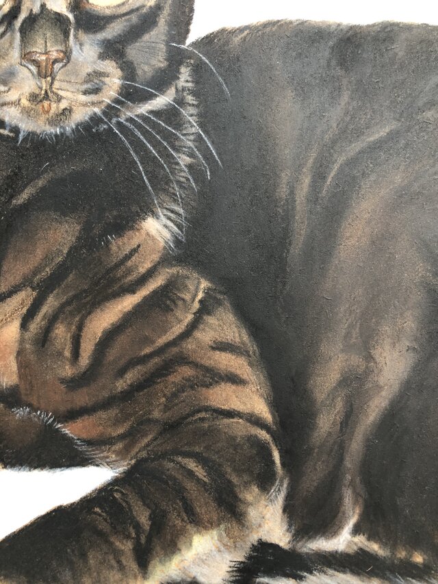「ムサシ」猫イラスト（原画） 猫イラスト「ムサシ」原画 | iichi 日々の暮らしを心地よくする
