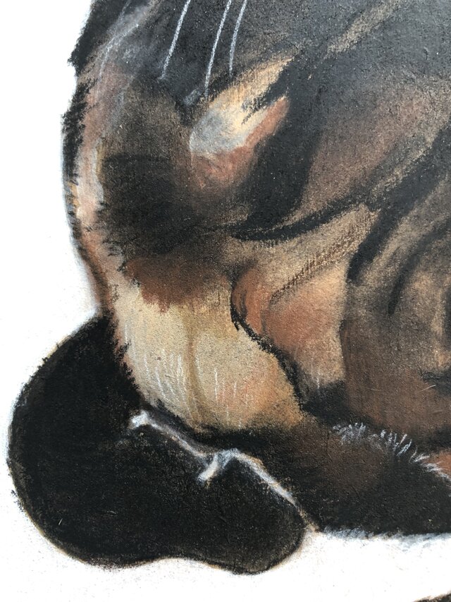 「ムサシ」猫イラスト（原画） 猫イラスト「ムサシ」原画 | iichi 日々の暮らしを心地よくする