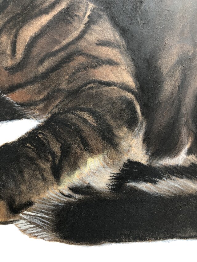 「ムサシ」猫イラスト（原画） 猫イラスト「ムサシ」原画 | iichi 日々の暮らしを心地よくする