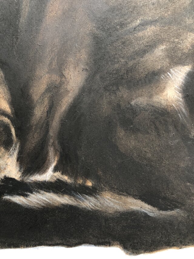 猫イラスト「ムサシ」原画 | iichi 日々の暮らしを心地よくする