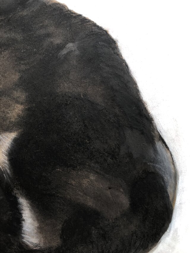 猫イラスト「ムサシ」原画 | iichi 日々の暮らしを心地よくする