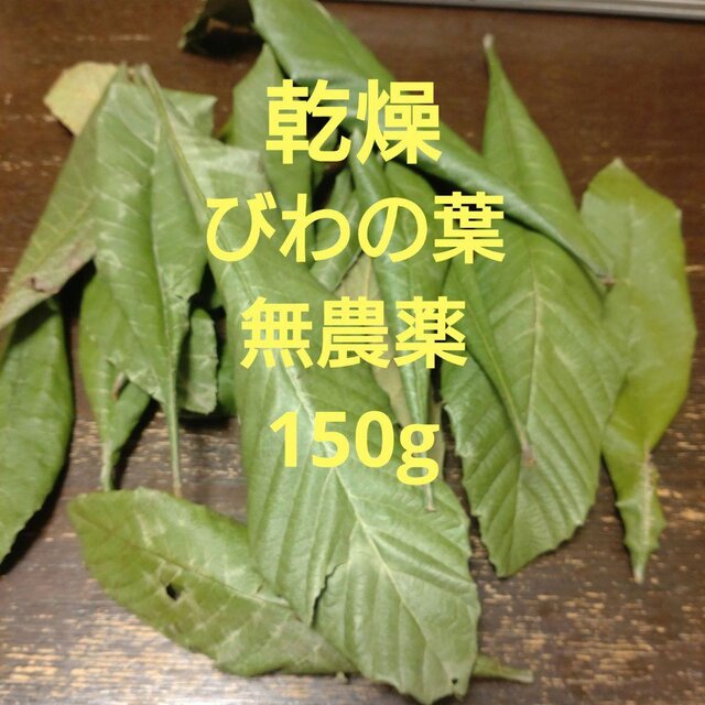 乾燥びわの葉　農薬不使用　乾燥　150gの画像1枚目
