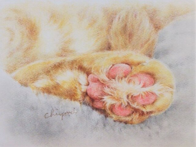 あったかいねの画像1枚目