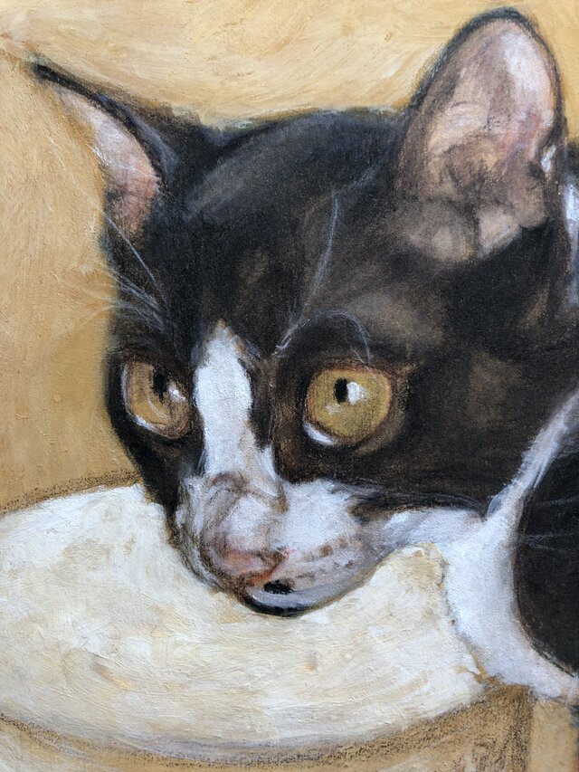 子猫ウメ」猫イラスト（原画） | iichi 日々の暮らしを心地よく