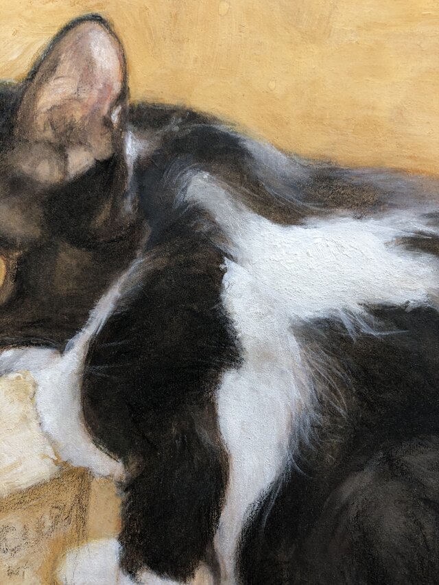 ウメ2」猫イラスト（原画） | iichi 日々の暮らしを心地よくする