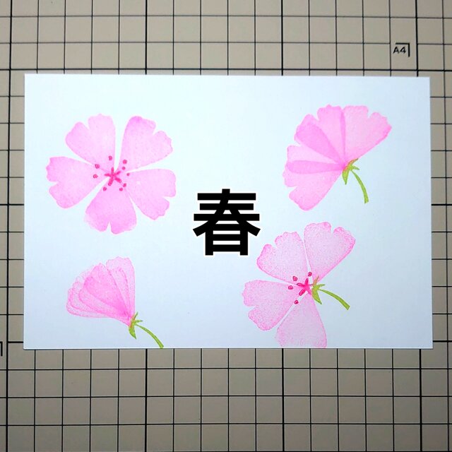 消しゴムはんこ「さくら・桜‣サクラ」5個セット | iichi 日々の暮らし