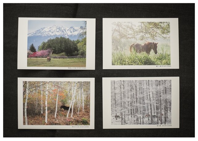 木曽馬ポストカード 4枚組セット | iichi 日々の暮らしを心地よくする