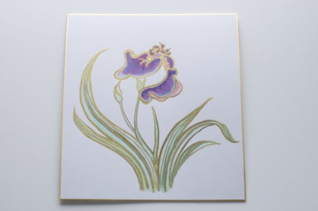 日本画】花菖蒲_色紙に描く（横24cmx縦27cm） | iichi 日々の暮らしを